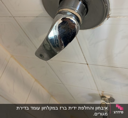 ברז מים על קיר אריחים בחדר אמבטיה